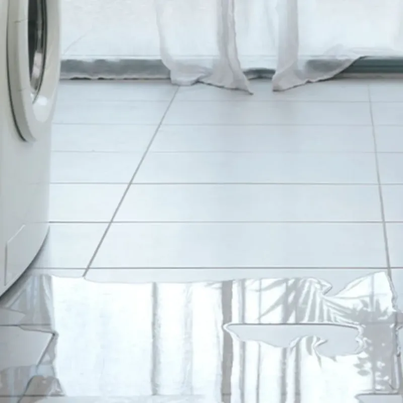 Appliance Leak Cleanup in Northville, MI
