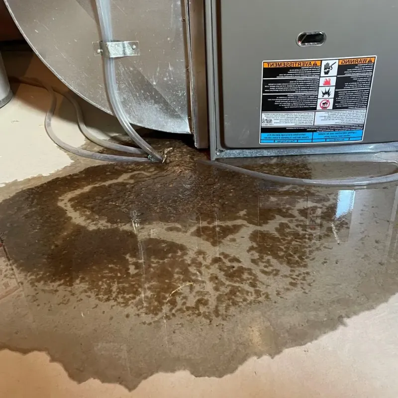 Pipe Burst and Leak Restoration in Northville, MI